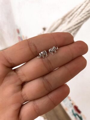 Brinco de Elefante