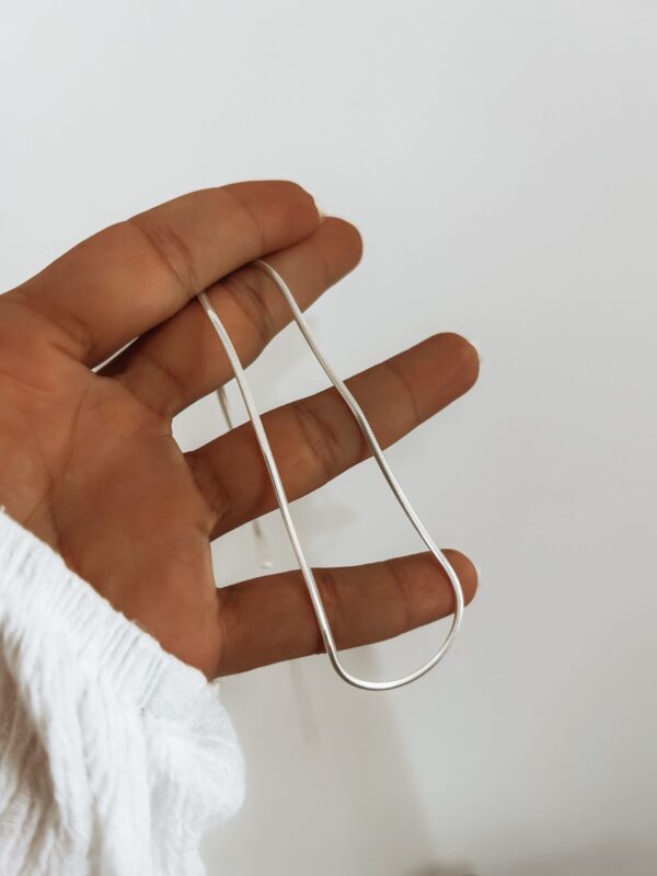 Corrente Rabo De Rato Achatada Detalhada 45cm - Imagem 1