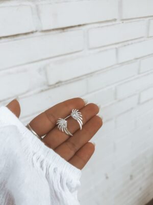 Brinco Asa Com Zirconia