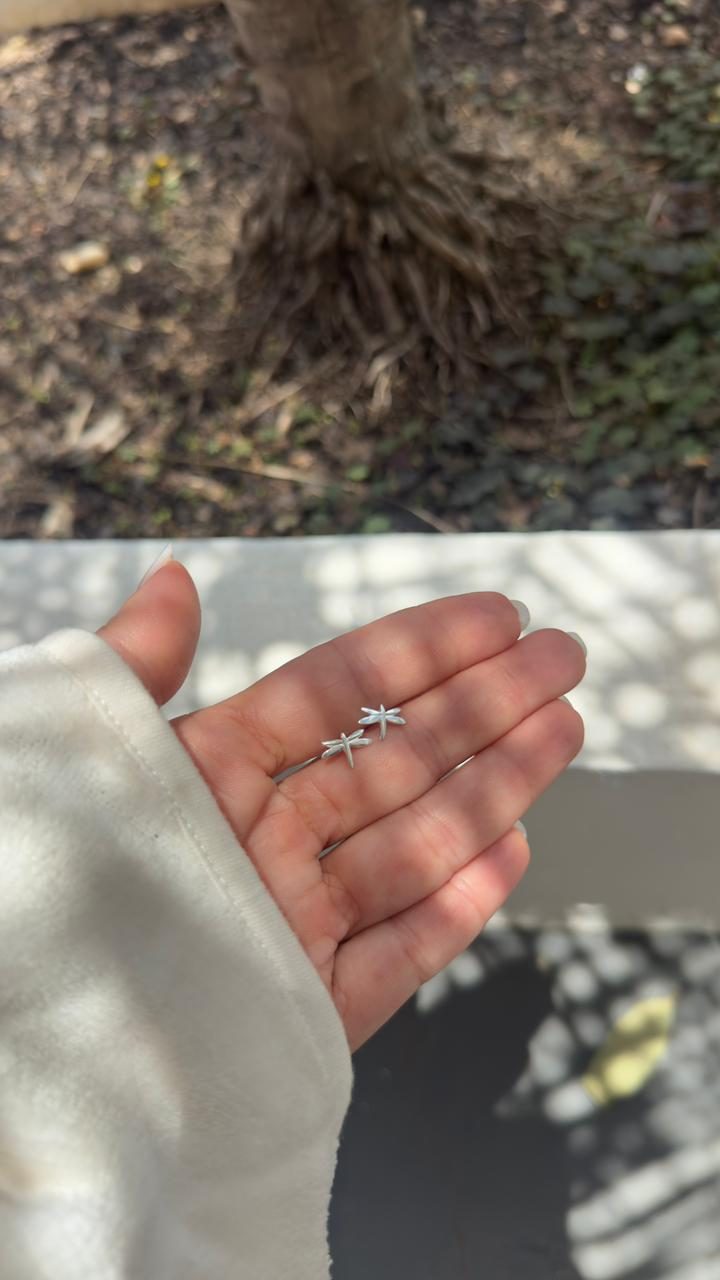 Brinco Libélula Prata Branca Brinco Libélula Prata Branca - Imagem 1